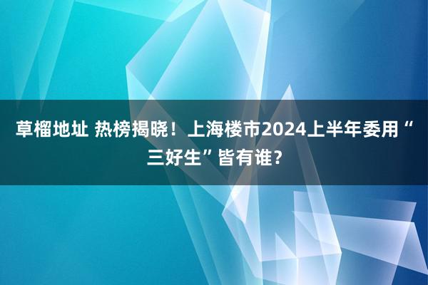 草榴地址 热榜揭晓！上海楼市2024上半年委用“三好生”皆有谁？