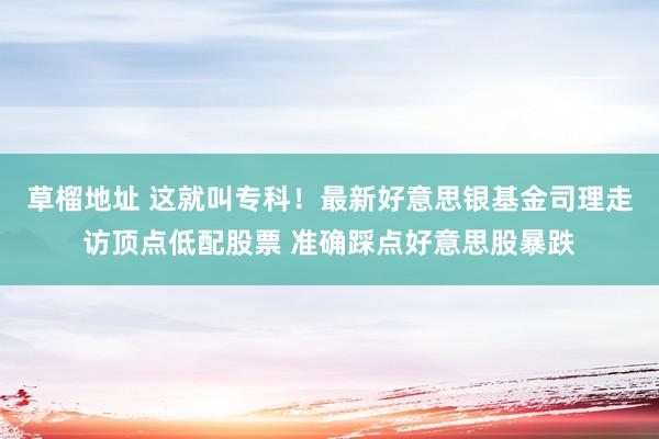 草榴地址 这就叫专科！最新好意思银基金司理走访顶点低配股票 准确踩点好意思股暴跌