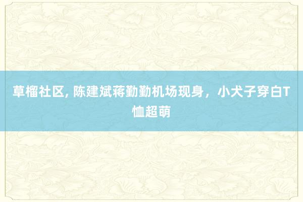 草榴社区, 陈建斌蒋勤勤机场现身，小犬子穿白T恤超萌