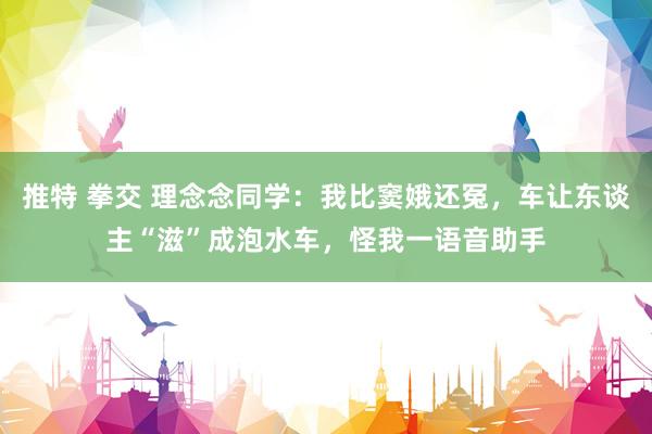 推特 拳交 理念念同学：我比窦娥还冤，车让东谈主“滋”成泡水车，怪我一语音助手