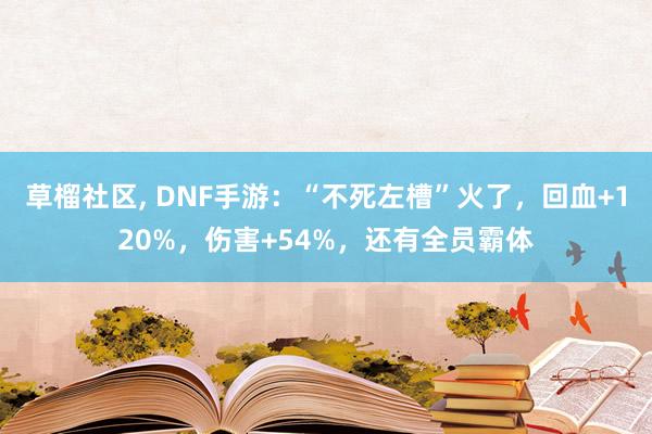 草榴社区, DNF手游：“不死左槽”火了，回血+120%，伤害+54%，还有全员霸体