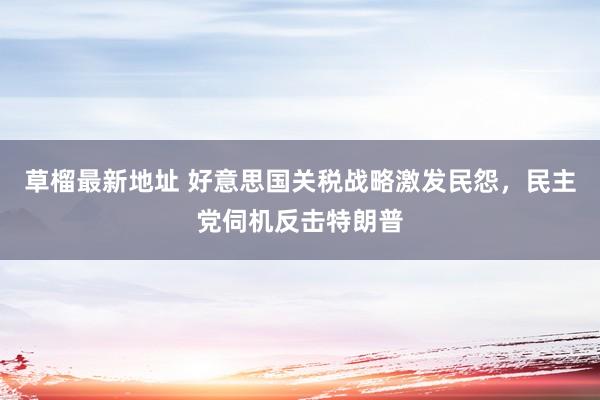 草榴最新地址 好意思国关税战略激发民怨，民主党伺机反击特朗普