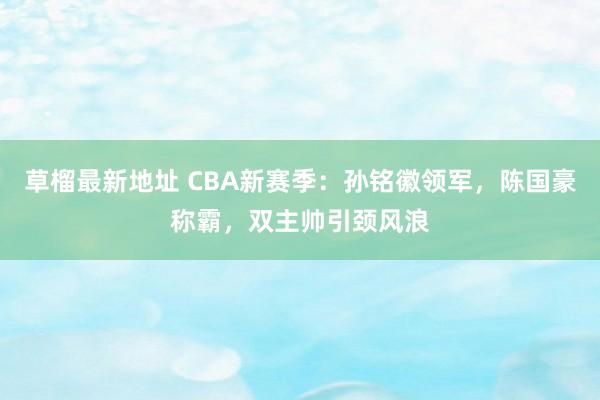 草榴最新地址 CBA新赛季：孙铭徽领军，陈国豪称霸，双主帅引颈风浪