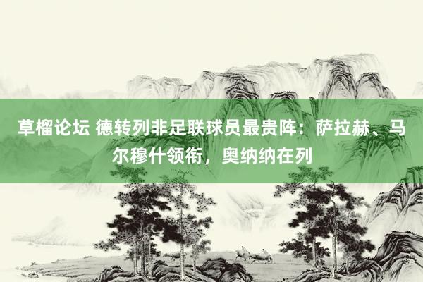 草榴论坛 德转列非足联球员最贵阵：萨拉赫、马尔穆什领衔，奥纳纳在列