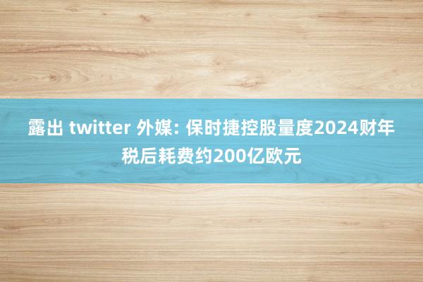 露出 twitter 外媒: 保时捷控股量度2024财年税后耗费约200亿欧元