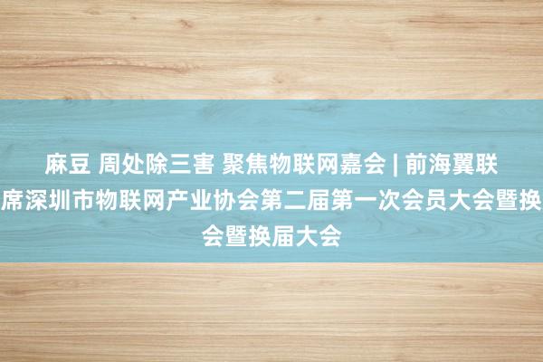 麻豆 周处除三害 聚焦物联网嘉会 | 前海翼联受邀出席深圳市物联网产业协会第二届第一次会员大会暨换届大会