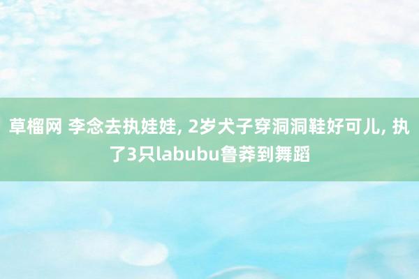 草榴网 李念去执娃娃, 2岁犬子穿洞洞鞋好可儿, 执了3只labubu鲁莽到舞蹈