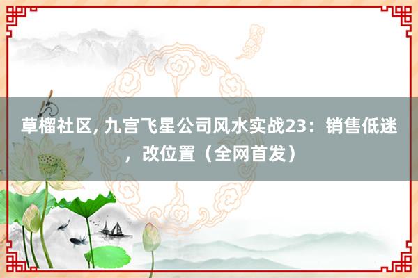 草榴社区, 九宫飞星公司风水实战23：销售低迷，改位置（全网首发）