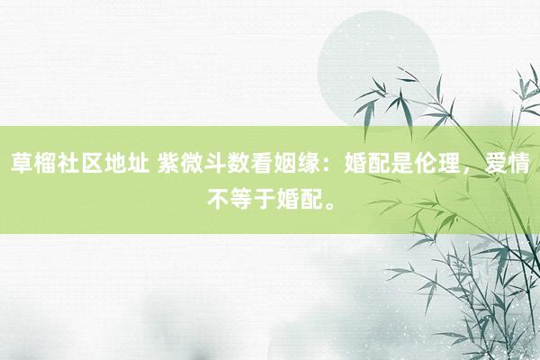 草榴社区地址 紫微斗数看姻缘：婚配是伦理，爱情不等于婚配。